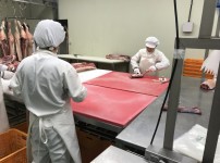 발골 성형(정선)